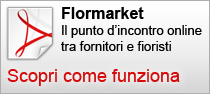 Scopri come funziona Flormarket